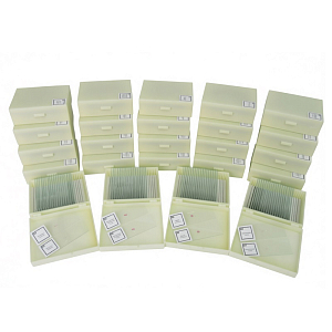 Комплект микропрепаратов Анатомия‑Проф — на 20 учеников