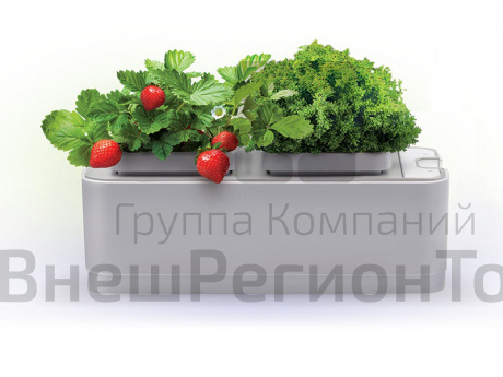 Смарт-сад iGarden на основе гидропоники.