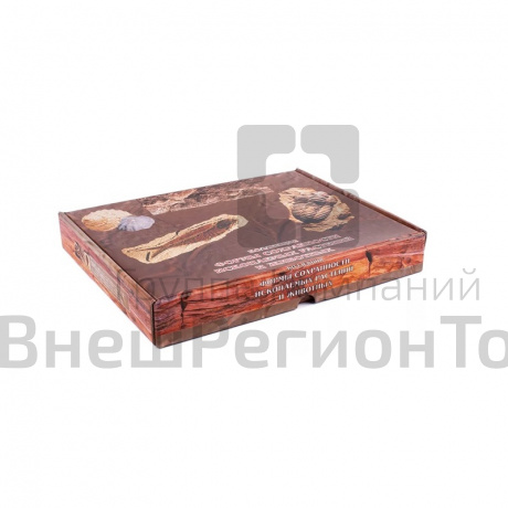 Коллекция "Формы сохранности ископаемых растений и животных".