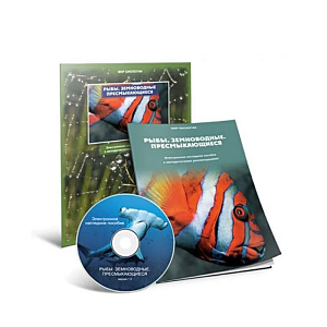 Электронное пособие «Рыбы, земноводные, пресмыкающиеся» — ПРШ‑Б565