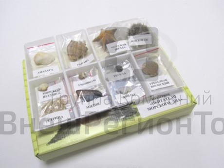 Коллекция "Обитатели морского дна".