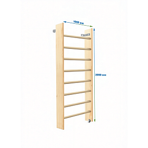 Стенка гимнастическая, 280х80