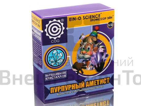 Набор Профессор Эйн: Пурпурный аметист.