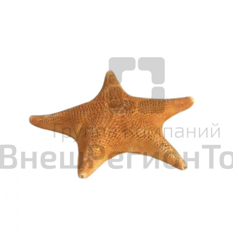 Сухой препарат "Звезда морская".