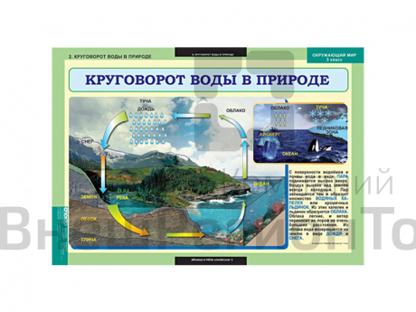 Таблицы "Окружающий мир 3 класс".