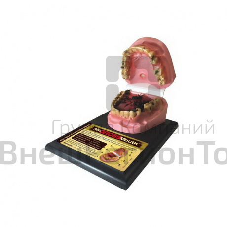 Модель рта курильщика.