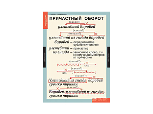 Таблицы «Русский язык» — 7 класс, 7 листов