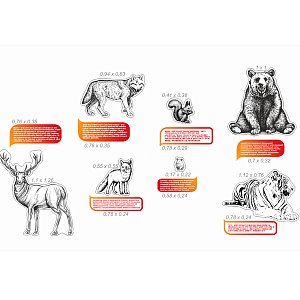 Комплект для оформления кабинета биологии №2