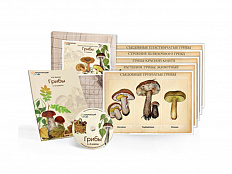 Электронное пособие "Грибы" (CD + 10 постеров)