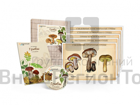 Электронное пособие "Грибы" (CD + 10 постеров).