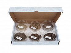 Коллекция "Почва и ее состав"