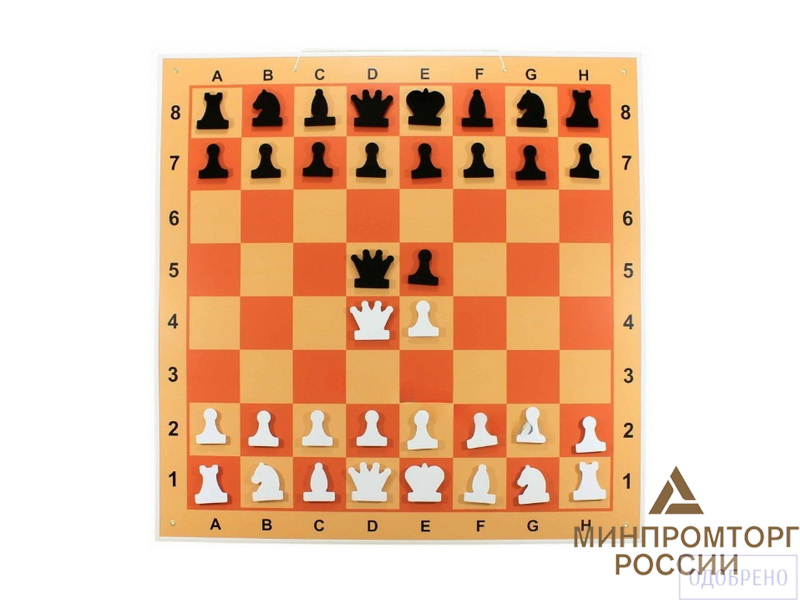 Демонстрационная шахматная доска с магнитными фигурами, 100х100 см