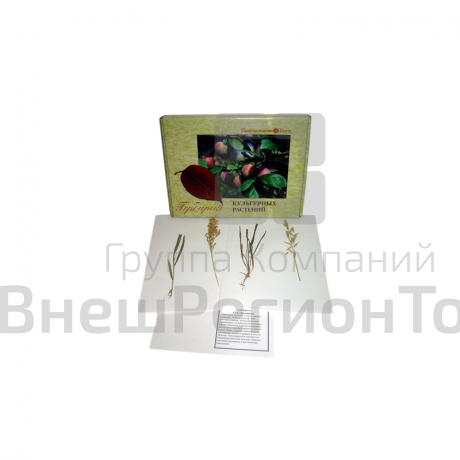 Гербарий "Культурные растения" (28 видов).