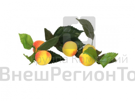 Ветка муляжей Абрикосы.