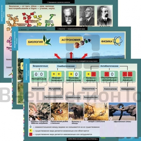 Комплект таблиц "Введение в экологию" (18 шт).