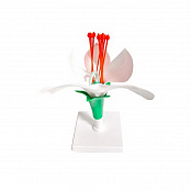 Комплект объемных моделей