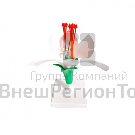 Комплект объемных моделей.