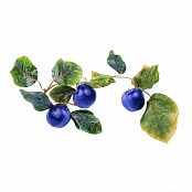 Ветка муляжей Сливы