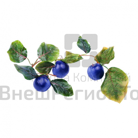 Ветка муляжей Сливы.
