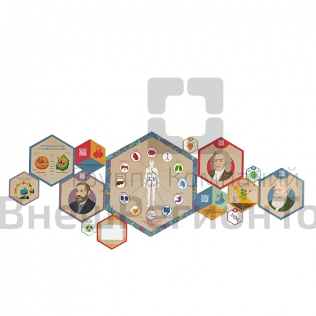 «Стендум - Биология» - набор информационно-методических панелей (14 шт.).