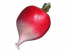 Муляж Редис