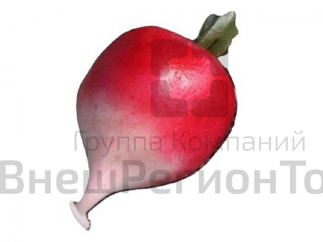 Муляж Редис.
