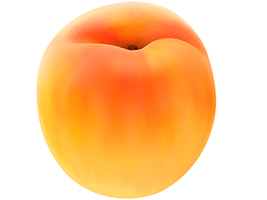 Муляж Абрикос учебный