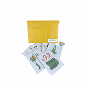 Комплект моделей-аппликаций демонстрационный (3 модели)