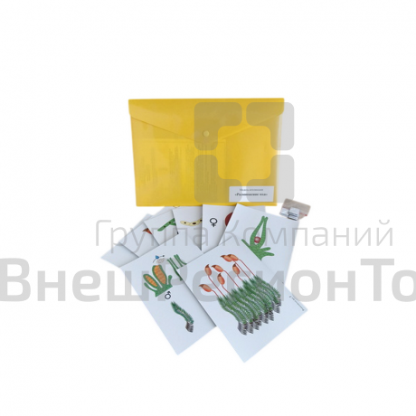 Комплект моделей-аппликаций демонстрационный (3 модели).