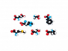 Набор из 8 аминокислот, сборная модель 