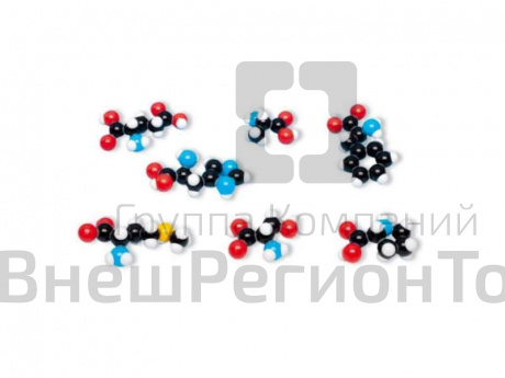 Набор из 8 аминокислот, сборная модель .