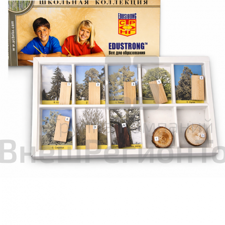 Коллекция Древесные растения и их распространение (раздаточная).