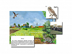 Магнитный плакат-аппликация Поле: биоразнообразие и взаимосвязи в сообществе