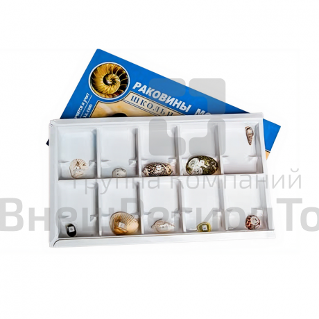 Коллекция образцов Раковины моллюсков.