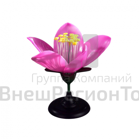Модель "Цветок персика".