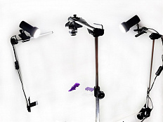 Мультстудия Эконом