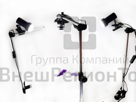 Мультстудия Эконом.