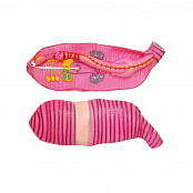 Модель "Дождевой червь"