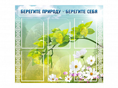 Стенд Берегите природу - берегите себя
