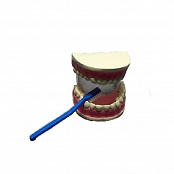 Модель Уход за зубами