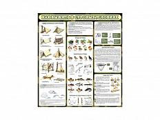 Стенд "Как выжить в суровых условиях"