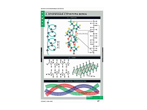 Таблицы по биологии: Белки и нуклеиновые кислоты, 8 шт.