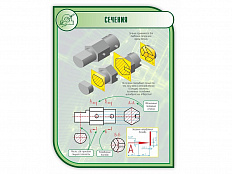 Стенд СЕЧЕНИЯ 1*0,75м (скругл.углы)