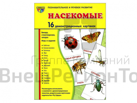 Демонстрационные картинки "Насекомые".