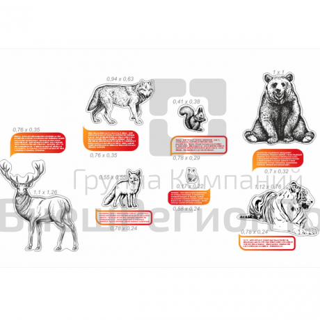 Комплект для оформления кабинета биологии №2.