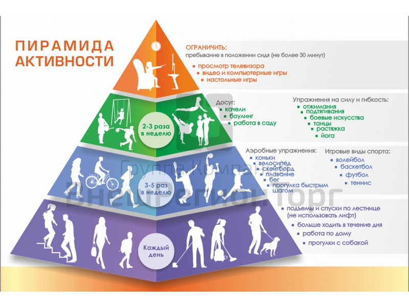 Стенд Пирамида физической активности.