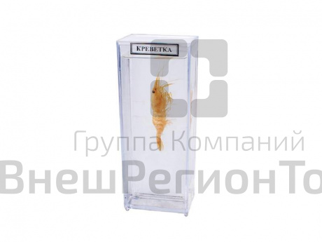 Влажный препарат Креветка.