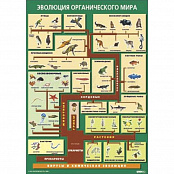 Таблица Эволюция органического мира 70х100 винил