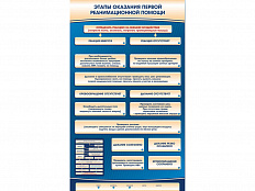 Электрифицированный стенд-тренажер Этапы оказания первой реанимационной помощи