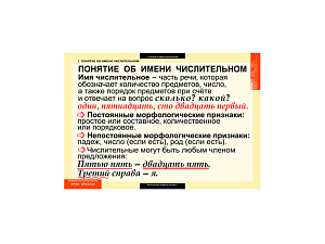 Таблицы «Русский язык — Числительные и местоимения» 68×98 см